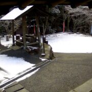 雪が積もりました