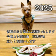 2025新年のご挨拶